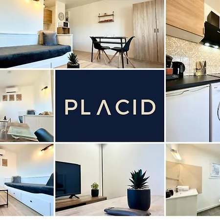 Le Clemenceau - Parking Prive - Fibre & Clim Apartment